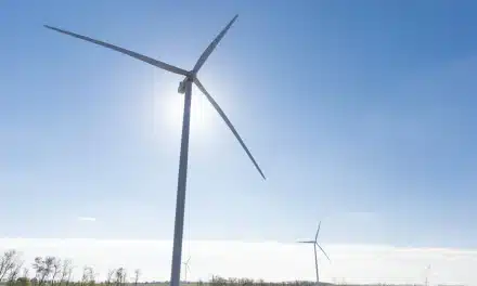 Ukraine Triumphs Over Adversity, Completing 114-MW Wind Farm Amid Conflict